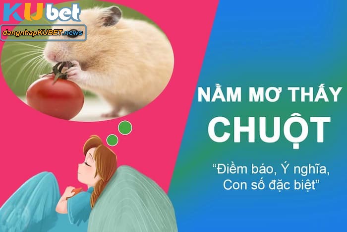 Mơ thấy chuột đánh con gì Mơ thấy chuột đánh con gì