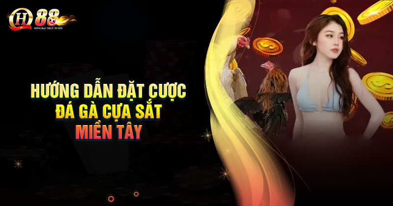 co-nhung-cua-cuoc-da-ga-cua-sat-mien-tay-nao