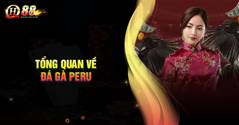 tong-quan-ve-da-ga-peru